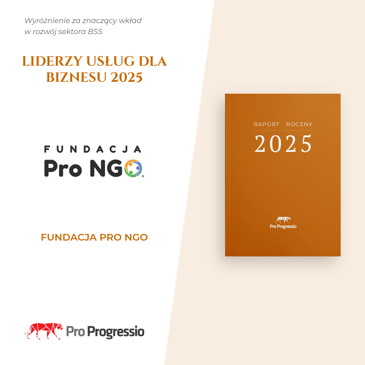 fundacja pro ngo pl 2026